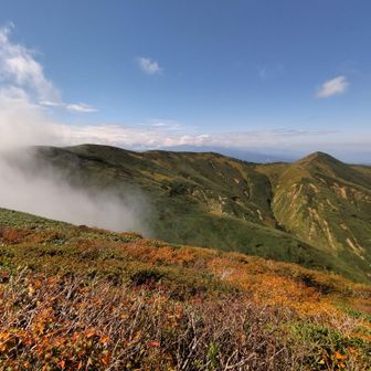 牛ケ岳に到着です。
巻機山から殆ど平らな道でした。眼前の巻機山から割引岳の行程も楽しそうです。
座布団敷いていなり寿司を食べました。行楽の秋です。