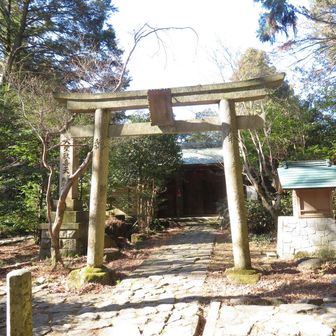 興法寺、お寺だけど、鳥居⛩️