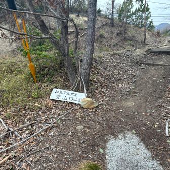 奥の峰から北稜ルートで下山しました🙏