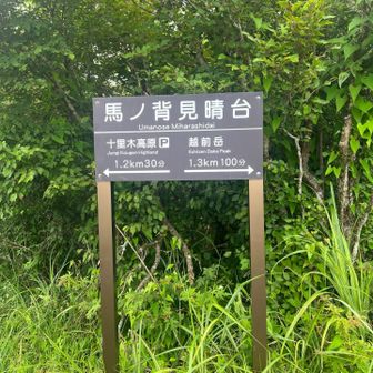 馬ノ背見晴台