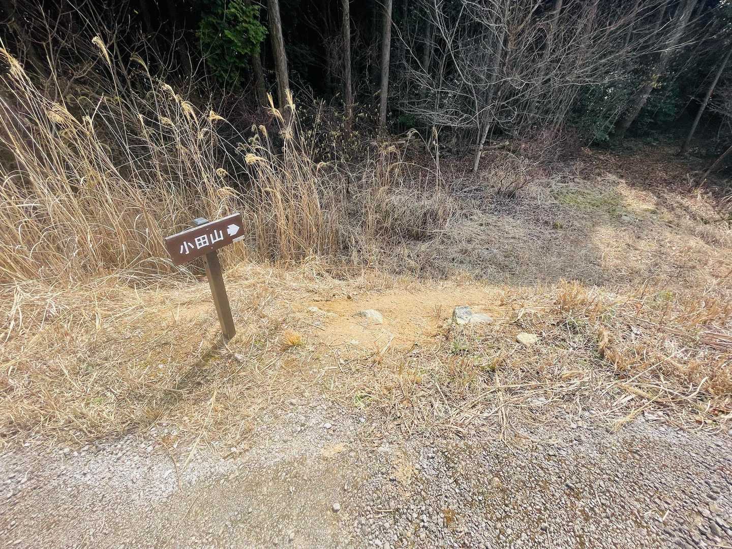 登山口まであっという間でした。

ここから登れば勾配が緩やかなので楽に山頂まで行けそうですね！