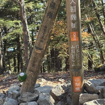 大菩薩嶺の頂上　今日も賑やかな声が響いていました　若い人が多いですね