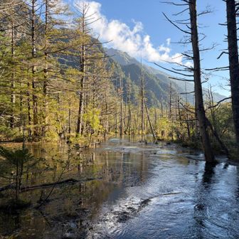 全員無事下山

念願叶って本当によかったです😊
クライミングは1人ではできないので仲間が絶対に必要です
情報が少なく、登られていないルートなので、落石、滑落などの危険性も高く、これをわざわざやろうとする人はなかなかいないかと思います
ですので、今回のメンバーには本当に感謝です🙏
