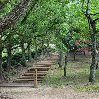 え、スタートって