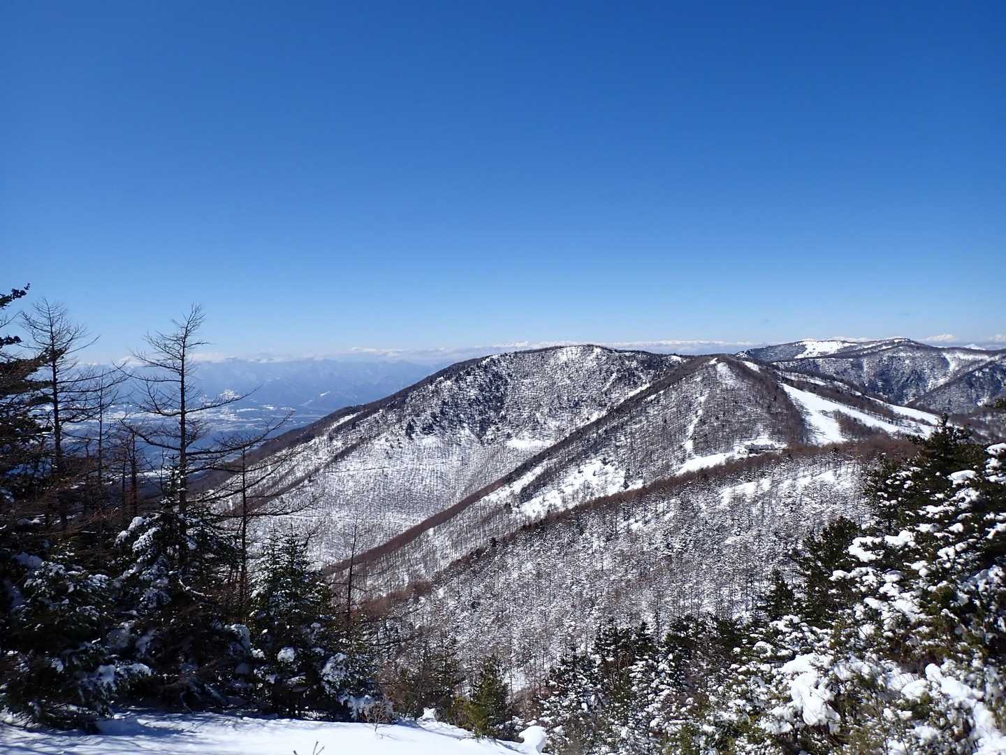 黒斑コース登山口-車坂山-トーミの頭 往復コースの写真