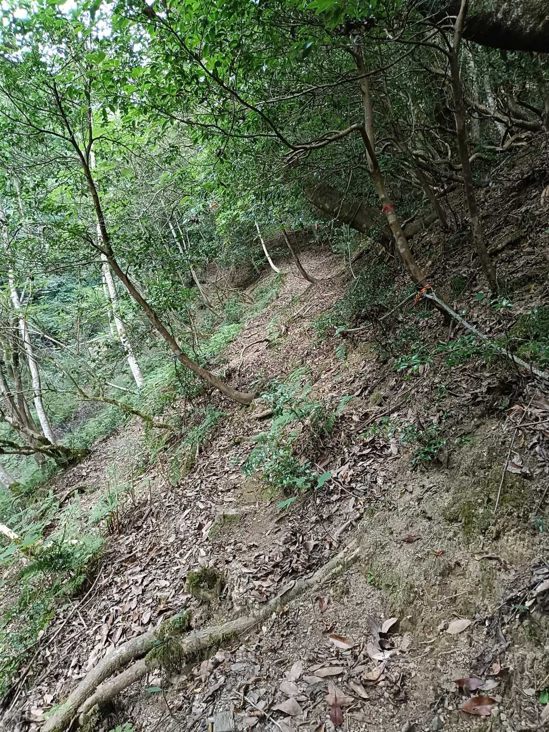 今日ほどロープがありがたいと思ってことはありませんでした