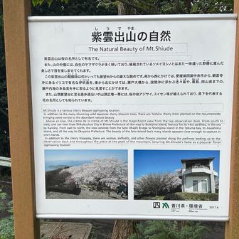 紫雲出山の自然🗺️