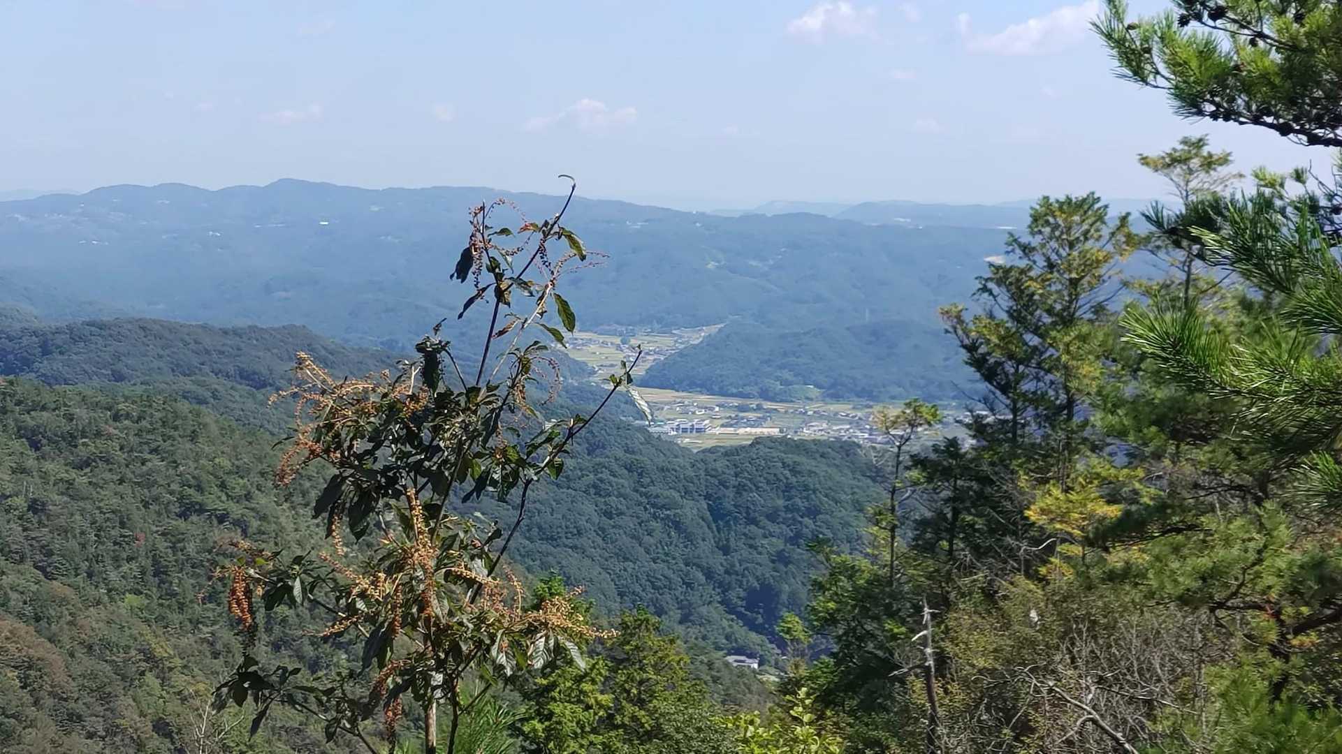 東側土塁の麓は血吸川の源流
川は見えません