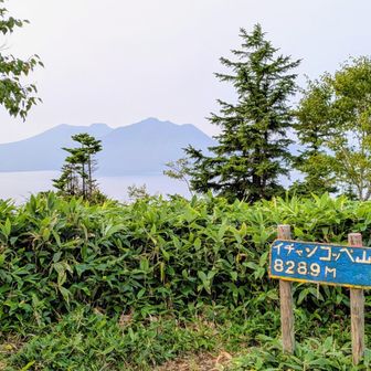 イチャンコッペ山から樽前山（左側）と風不死岳（右側）を望む。