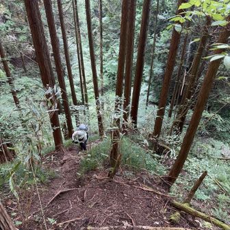 上から見るとこんな感じ