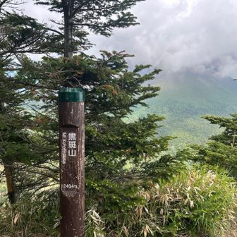 この後、すぐに登山道をデカめのカモシカが通り過ぎて行きました。