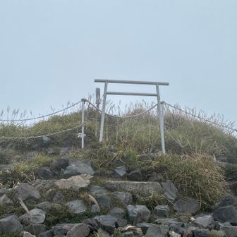 山頂はガスってました