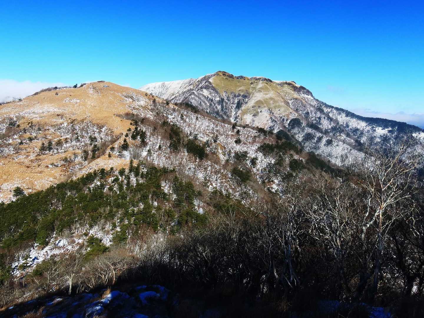 韮生越に向かって急下降