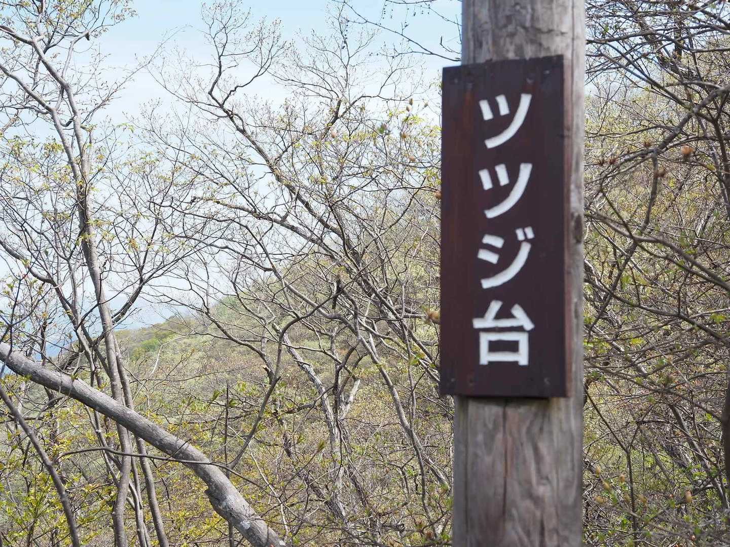 ツツジ台。
ここまで上がってくるだけでもヒーヒー💦💦
年々衰えてます💦💦