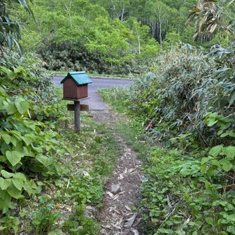 前目国内から、朝🅿️で登山口分からずウロウロしていたら声を掛けてくれたお姉さんと一緒に山の話を教えてもらいながら下山してきました🙇