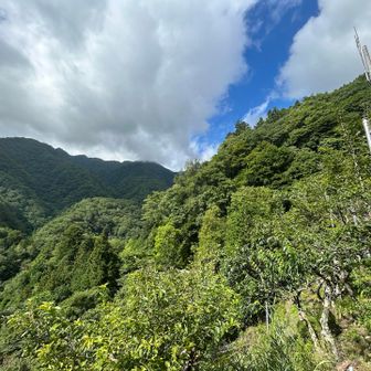 登山口からの景色。
今日は雲が多く、展望は望めないだろう。
両神山山頂は右側斜面に隠れて見えない。