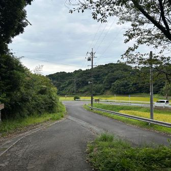あっという間でしたが、とりあえず5kmでも歩けてよかった。来月末の長期遠征に向けてしっかり歩いておかないと、、、🚶
