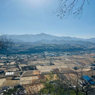 畑のパッチワーク