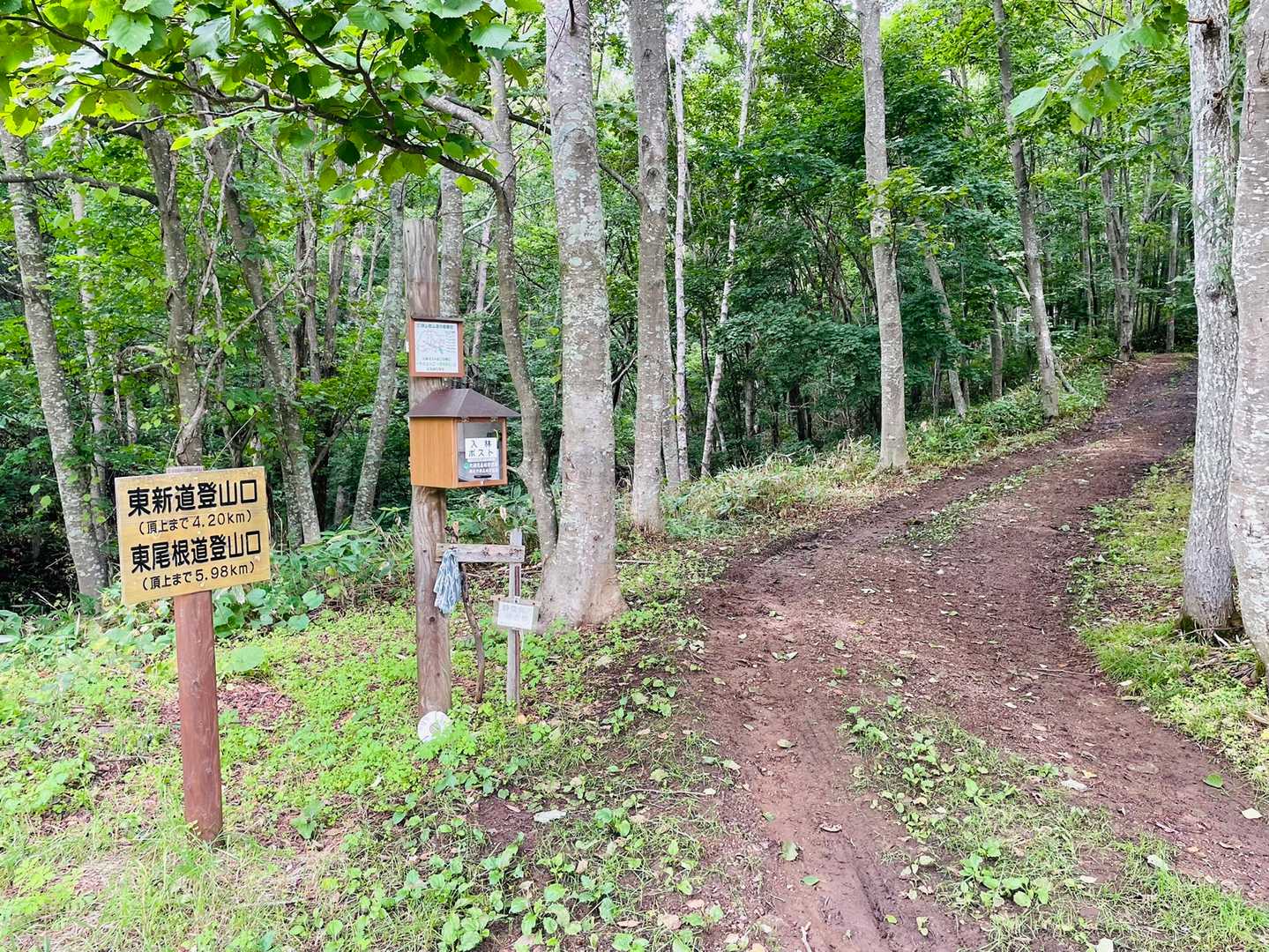 今日も東新道から💦