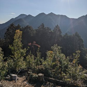近場の山！何処かな〜