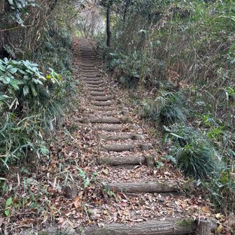 整備された階段