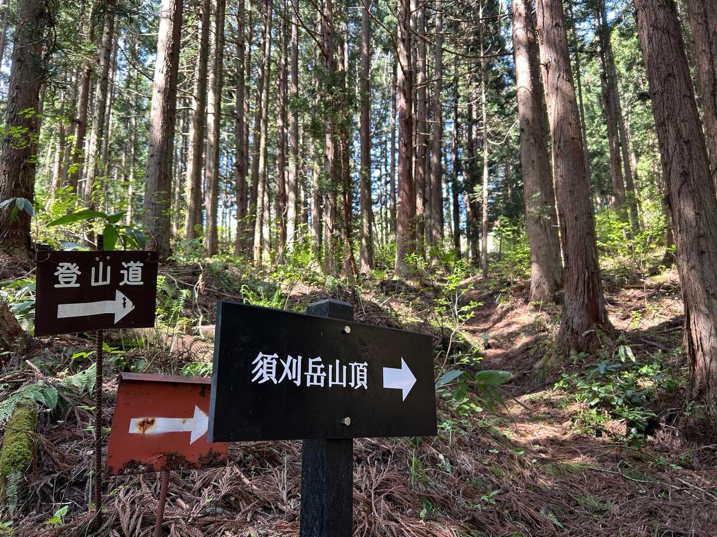 道標ありで助かります