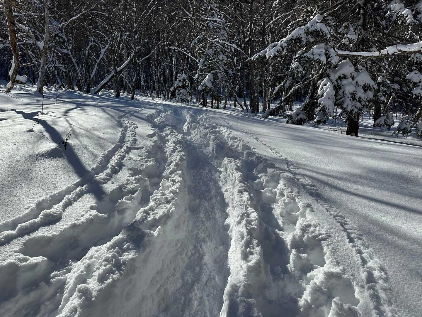 前半戦で自分で作った道