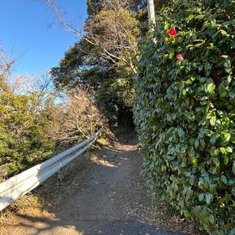 教会の横から登山道になります