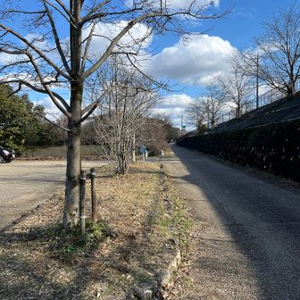 駐車場に入るときはファミマを目印に