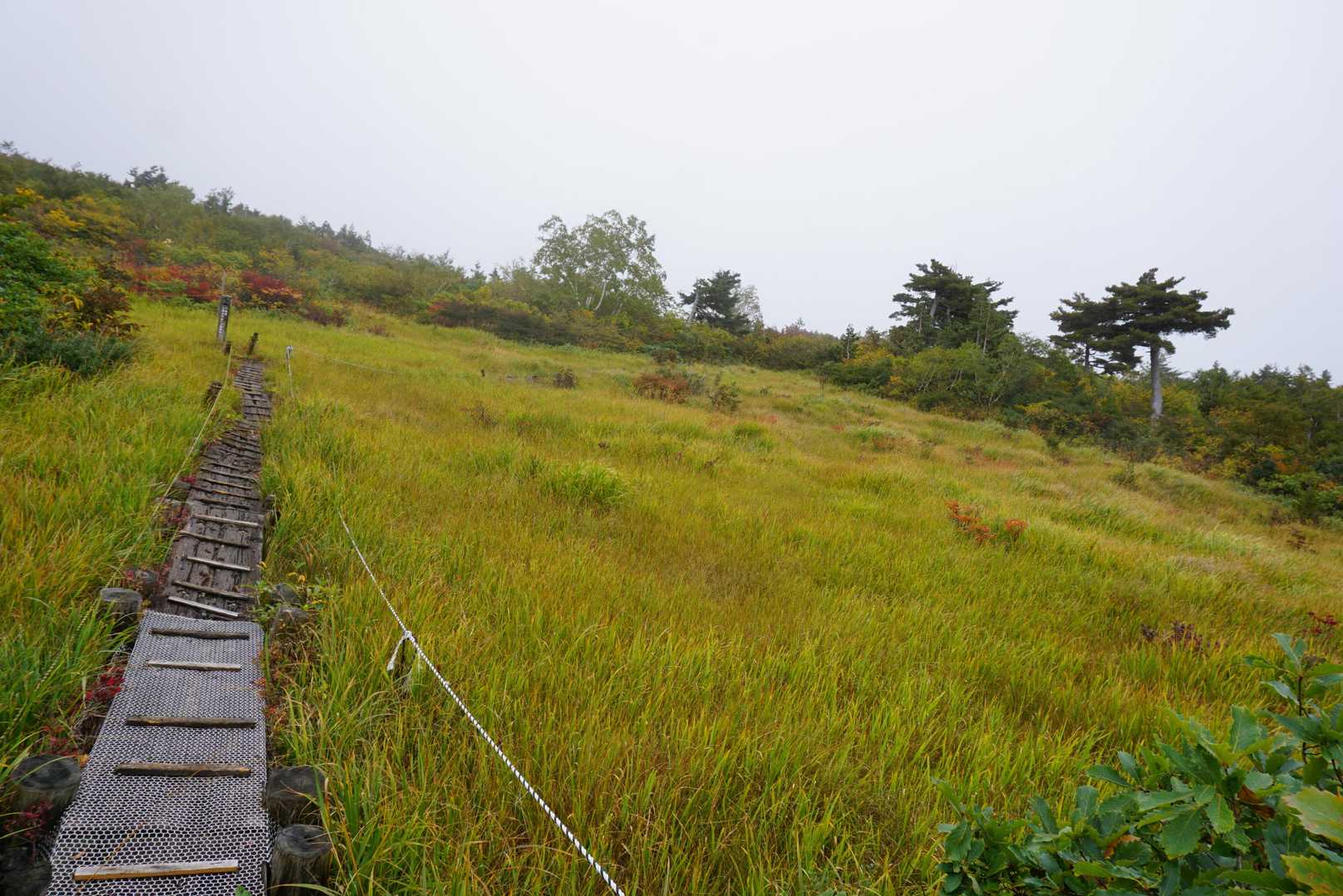 朝日鉱泉登山口-鳥原山-小朝日岳-大朝日岳-平岩山-御影森 周回コースの写真
