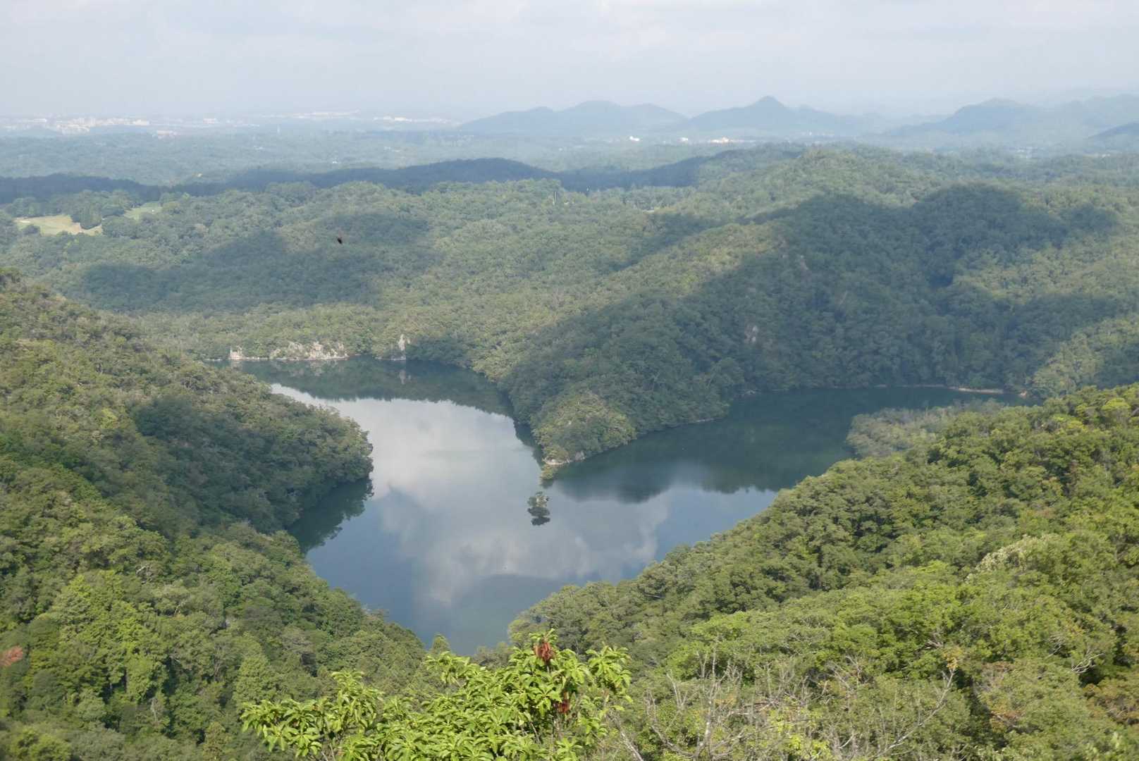 太陽と緑の道・千苅大岩岳コースの写真