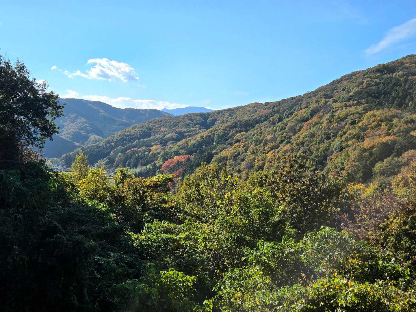 与謝野晶子「比企の渓」歌碑-大平山-大平山登山口 周回コースの写真