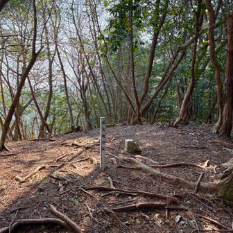 東ノ山山頂の様子
展望はありません。