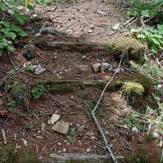 登山道と分かるのは此処まで。
此処から上は、なんとなく道があるような、無いような。

脹ら脛痛 😑

結構急登できつかった。
里山あるある？