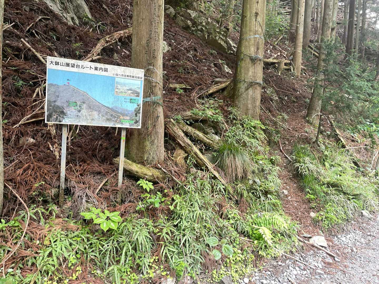 案内板の右側に登山口。
気づかずに通り過ぎて戻りました🫤