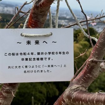 未来へ　大樹へ育てとエールを送った。