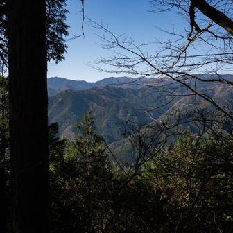 有間山方面でしょうね