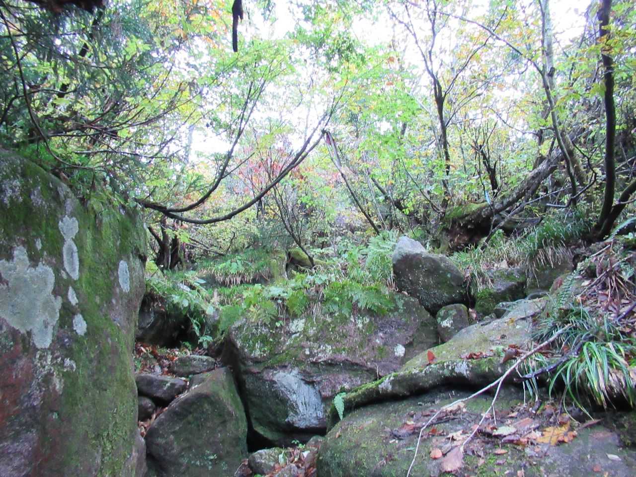 雰囲気ある🍁