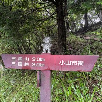 明神峠まで戻る
標識の上に金太郎がいる