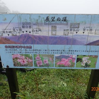晴れていれば見える景色