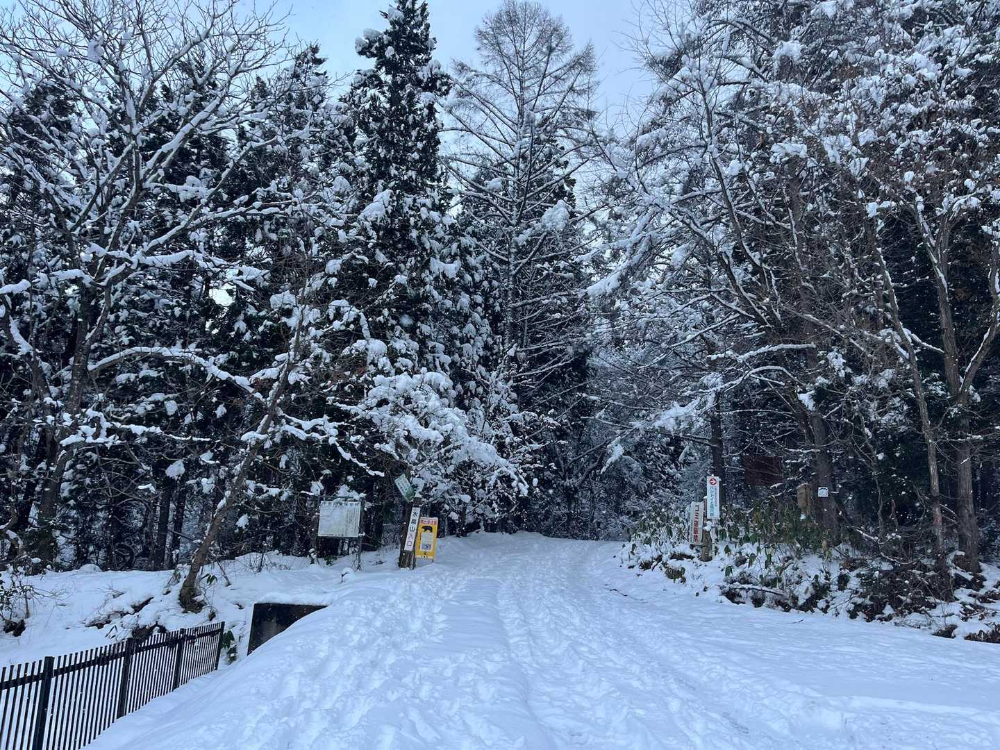 川原子口からスタート♪
ここまで🚙来られました🆗
まだ雪少ないですね❄️