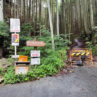平尾登山口
直進してココからコンクリート道を歩きます
コンクリート道の終盤が結構急で苦しいです
このルート一番の難所❓