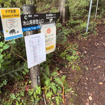 ゲザンヌ！