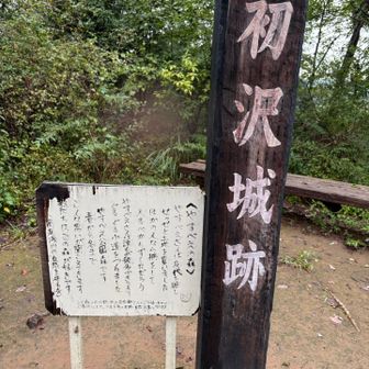 この辺りの道がツルツルで、大きく滑る。
擦りむいちゃったし、もう帰ろうかな…と凹む。
