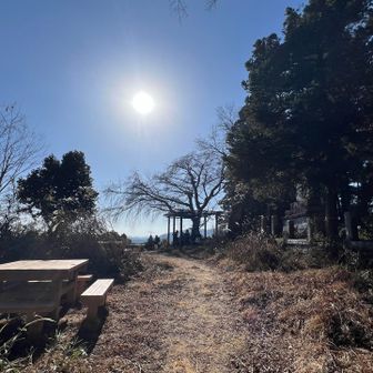 子供達のグループもお弁当広げたり賑やか！

八王子城山は素敵な里山でした♪
(戦国時代の歴史がある山でもあります)

高尾駅までの途中に富士見台🗻が楽しみです。