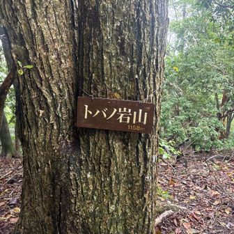 恐らくレアなトバノ岩山