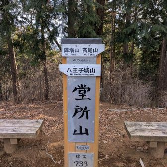 堂所山。じわじわ登って行く