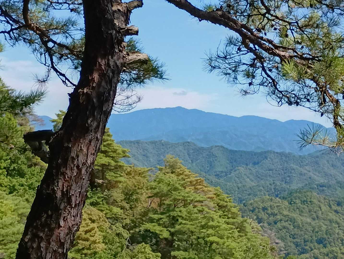 同じく遠くに金剛山。