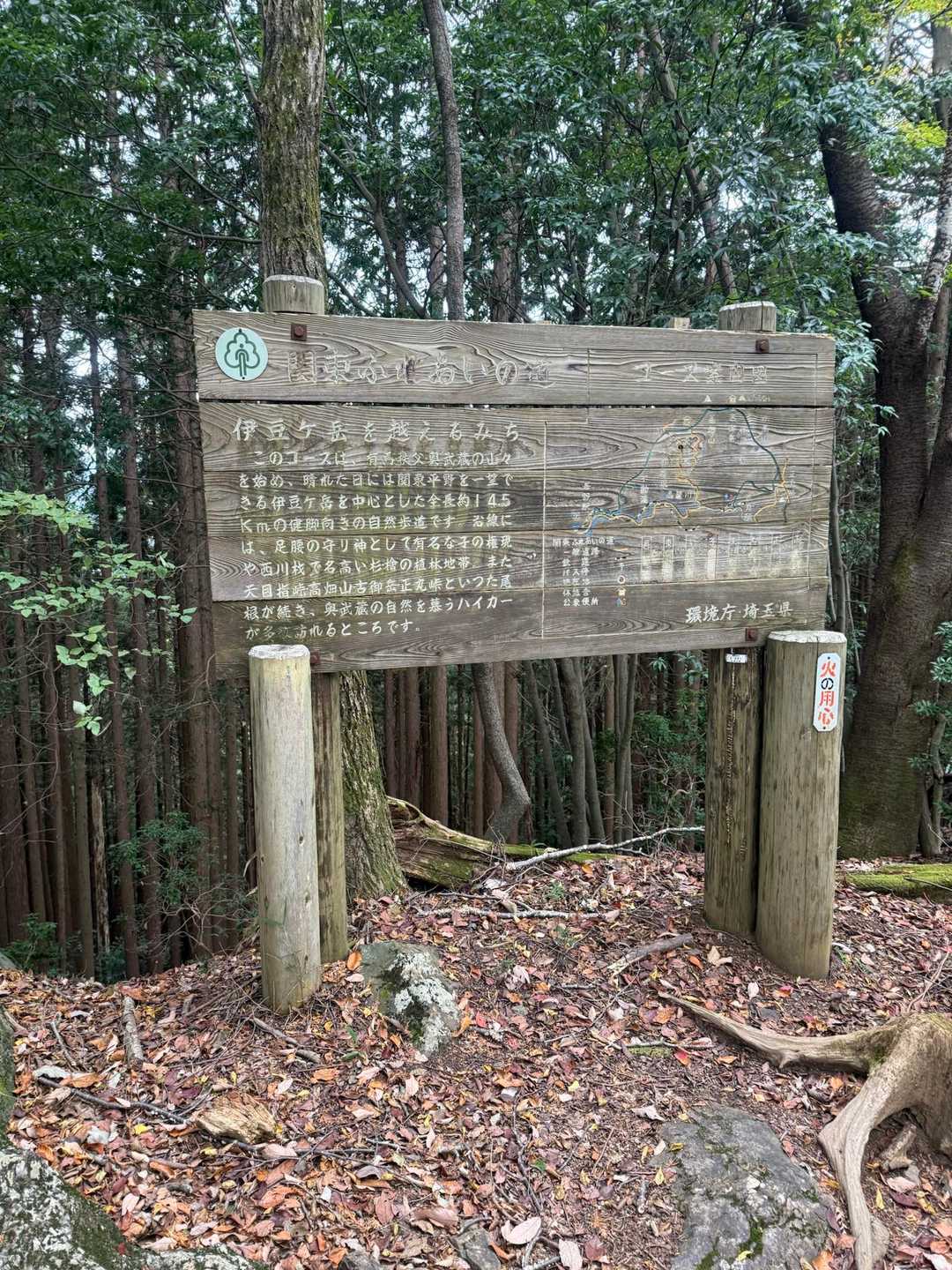 これは愛宕山の山頂付近
山頂良くわからなかった😅
とりあえず8座目👍
