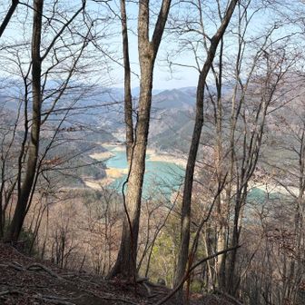 エメラルドグリーン🫛